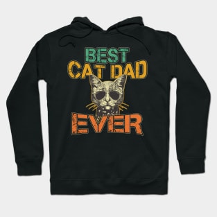 Cat Daddy Best Cat Dad Ever Fathers Day Hoodie